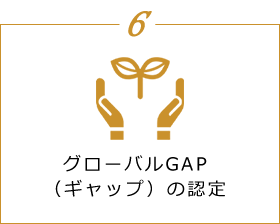 6 グローバルGAP（ギャップ）の認定